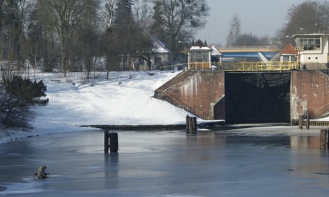 Колишній український поліціянт у Польщі врятував двох дівчаток-близнючок, які тонули у воді