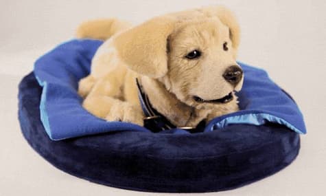 В США создали робота-щенка для помощи одиноким пожилым людям