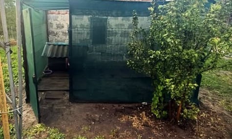 Загнав у вольєр і вдарив вилами у груди. У Львові знайшли чоловіка, який п'яним завдав вівчарці смертельних травм