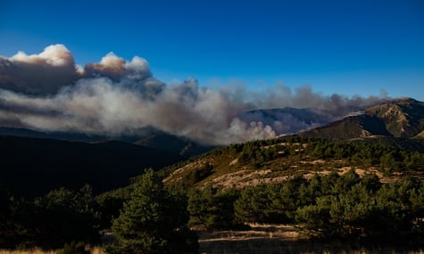 У Європі 2025 рік стане рекордним за масштабами лісових пожеж: вигоріла територія площею майже як Ліван
