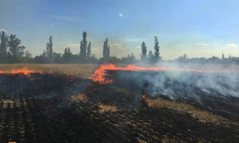 Пошук заміни для Антонівського мосту та ракетний удар по школі у Миколаєві: ситуація в регіонах зранку 28 липня