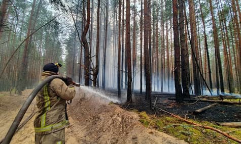 В Житомирской области пожар охватил природный заповедник, в Киевской все еще продолжается тление