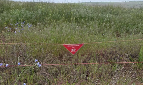 Під обстрілами «Олешківські піски», «Асканія-Нова» та «Кам'янська Січ». У Мінекономіки розповіли, скільки росія знищила природних об'єктів