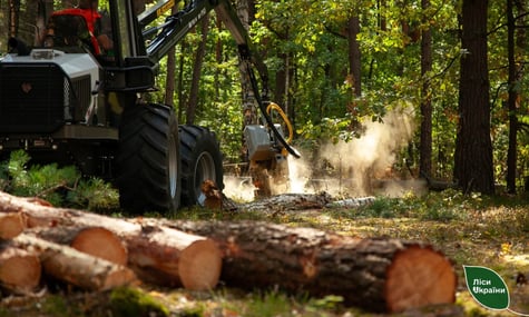 На прикордонні змінять правила вирубування дерев для облаштування оборонних рубежів