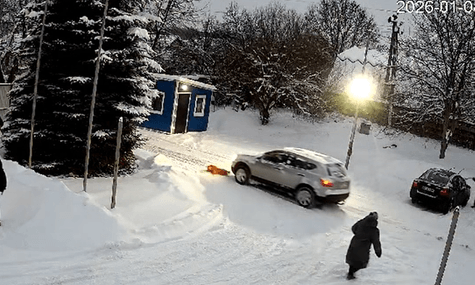 На Львівщині водій двічі переїхав собаку й утік. Його вже розшукала поліція
