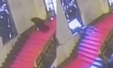 Італійський чиновник спіткнувся й випадково розбив головою майже сторічний вітраж (ВІДЕО)