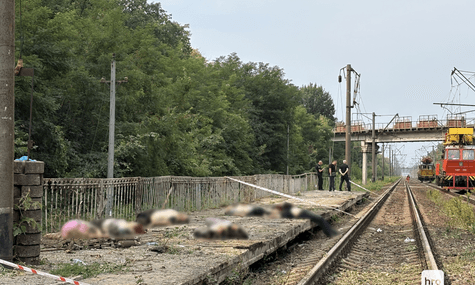 Трохи затримався потяг. На станції «Квітнева» у Броварському районі загинули 8 людей