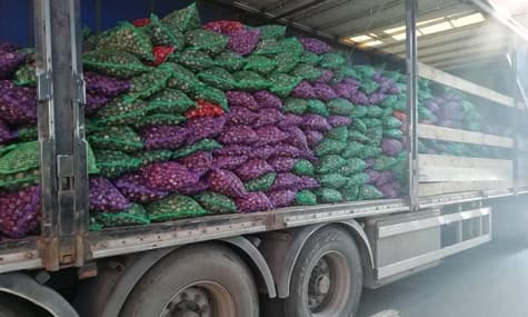 Кияни зібрали 45 тонн каштанів: з них виготовлятимуть ліки