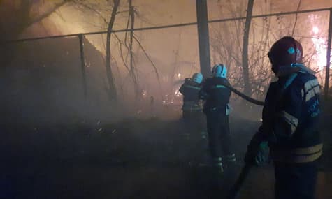 Пожары в Луганской области: огонь распространился на 10 тысяч гектаров, четыре человека погибли