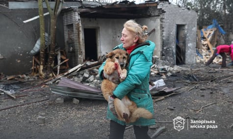 Окупанти пошкодили собачий притулок у Запоріжжі, багато тварин постраждало