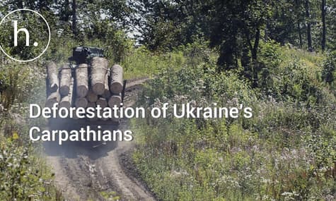 Deforestation of Ukraine’s Carpathians: Where Do We Go From Here?