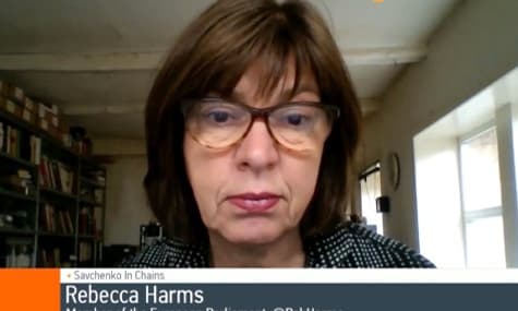 'Savchenko Should Be Free, If Russia Is Serious About Ceasefire' – Rebecca Harms