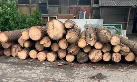 На Прикарпатті посадовці лісгоспу розікрали деревини на майже 2 млн грн — ДБР