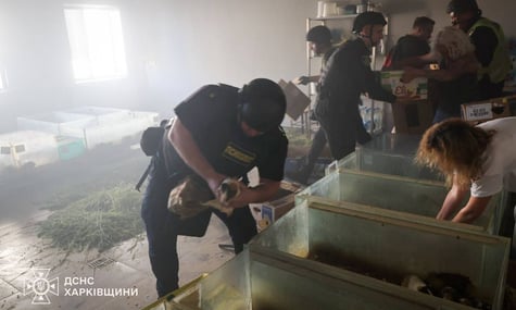 росіяни вдарили по зоопарку в Харкові — є загиблі тварини (ДОПОВНЕНО)