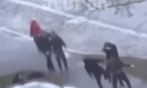 У Польщі кажуть, що сутичку, де побили українських учнів, почали вони самі. А відео, де учитель називає їх «покидьками», створив ШІ