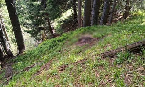 За 3,5 км від кордону. У важкодоступній місцевості біля кордону з Румунією знайшли тіло чоловіка