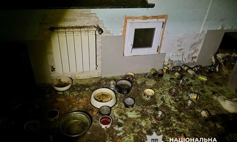 Жінці, у притулку якої загинув 51 кіт, загрожує вісім років за ґратами. Вона отримала підозру