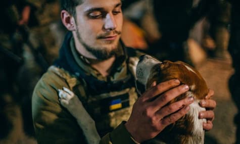 Нові обстріли українських міст і перекидання американських винищувачів до Польщі: головне за ніч 29 липня