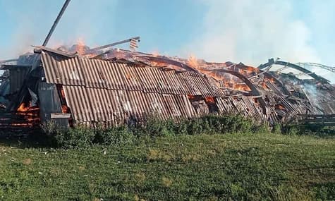 Оккупанты штурмовали в направлениях Лозовое — Пески, но не имели успеха: ситуация на фронте утром 4 августа