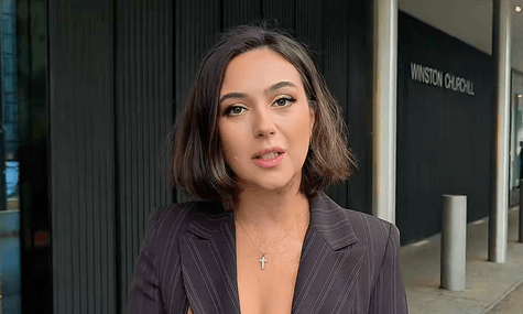 Мендель заявила, що її не пустили в Європарламент, де вона мала виступати на заході AfD з промовою «про мир»