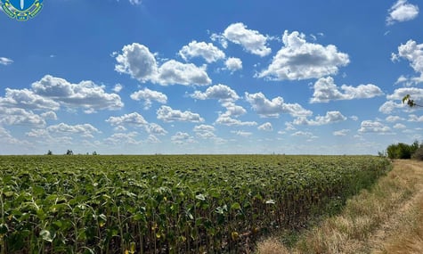 На Дніпропетровщині фермери роками незаконно засіювали танковий полігон — ДБР