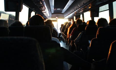 В Угорщині польський автобус із паломниками потрапив у ДТП із вівцею та вантажівкою — є постраждалі