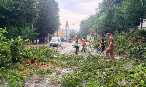 У Львові блискавка вдарила 6-річну дівчинку — дитина в реанімації