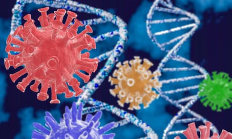 Коронавірус — удруге й навіть утретє? Коли антитіла не лише не рятують, а й «допомагають» заразитися ще раз