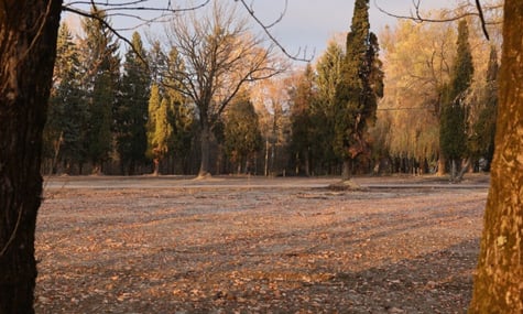 У Львові обрали нове місце для поховання захисників України