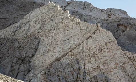 В італійських Альпах знайшли тисячі слідів динозаврів (ФОТО)