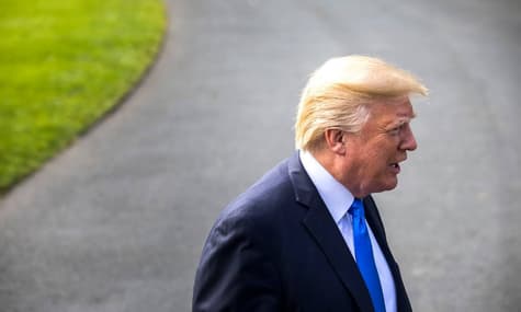 Трамп звинуватив лісові господарства у масштабних пожежах в Каліфорнії
