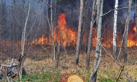 В Чернобыльской зоне уже неделю тушат пожар, в Киевской области радиационный фон в норме — ГСЧС