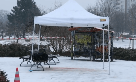 У парку Берліна знайшли мертвою закривавлену жінку. Посольство каже про смерть українки, підозрюваний теж українець