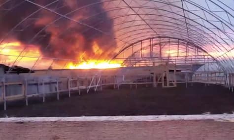 Пожар в Одесской области: горят плавни, у спасателей нет возможности погасить огонь