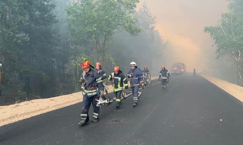 На Луганщине вспыхнули лесные пожары, поселка пришлось эвакуировать