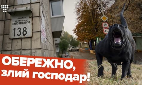 Як покарати агресивних господарів собак?