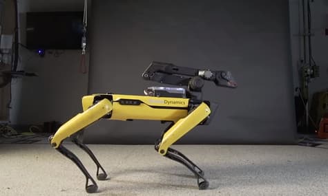 Робот-собака Boston Dynamics навчився танцювати