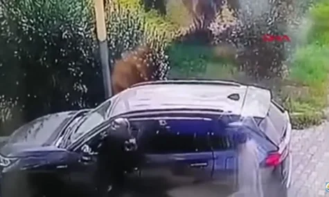 У Туреччині українець отримав 25 років в'язниці за те, що два роки тому на смерть збив грабіжників, які тікали з його грошима