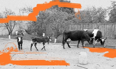 «Как погрузить на прицеп полвека жизни?» История фермера из Донецкой области