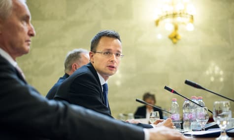 Угорщина звинуватила Україну в намірі зменшити кількість угорської меншини на Закарпатті