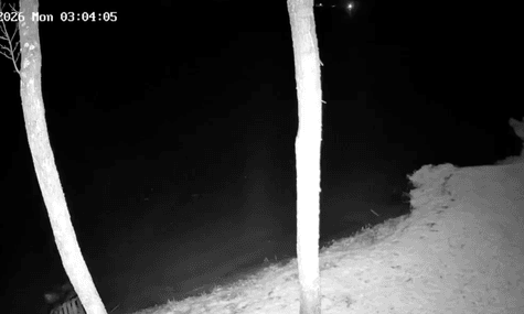 Летів атакувати Приморськ. Дрон, який залетів у Литву, міг бути українським