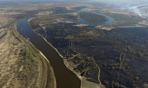 Почти 3 тысячи пожаров за пару месяцев: почему горит Белорусское Полесье