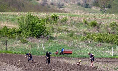 American Development Investment Makes For Faulty Irrigation In Moldova