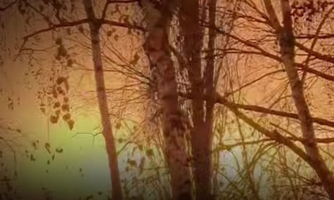 Сили оборони уразили Саратовський НПЗ та аеродром «Саки» в окупованому Криму