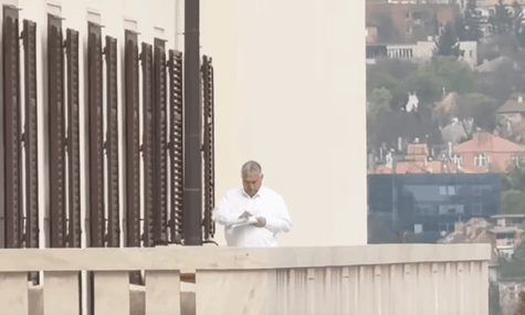 «Абсолютне кіно». Петер Мадяр, який прийшов на зустріч із президентом, побачив на сусідній терасі Орбана, який читав папери