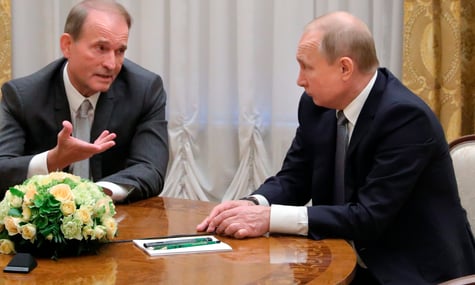 Державі повернули 10 гектарів лісу, які незаконно належали структурам Медведчука