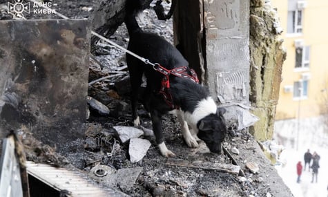 В Киеве завершили аварийно-спасательные работы после массированной российской атаки