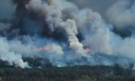 Через обстріли горить ліс на кордоні з росією, лісівники не мають доступу до нього