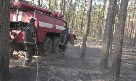 У Чорнобильській зоні та на Житомирщині ще тліє, нових загорань не фіксують