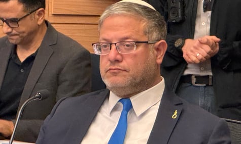 Ізраїльський міністр викликав критику Італії та власного уряду після відео зі знущанням над пропалестинськими активістами